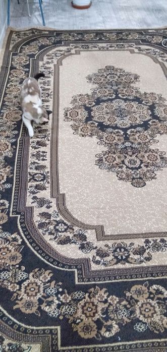 Продам ковер большой,добротный!