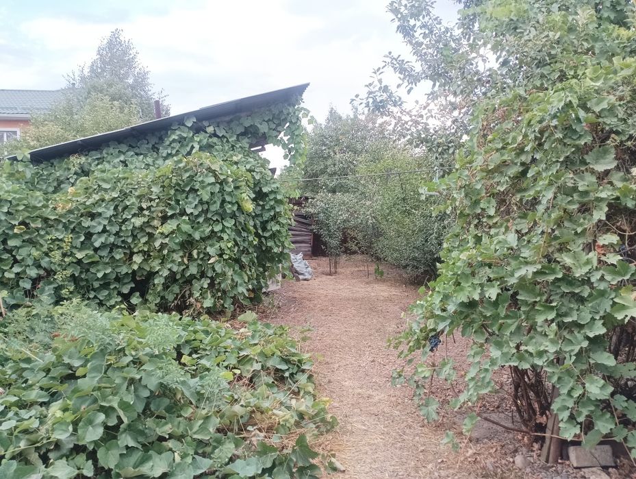 Продажа дома нижняя пятилетка