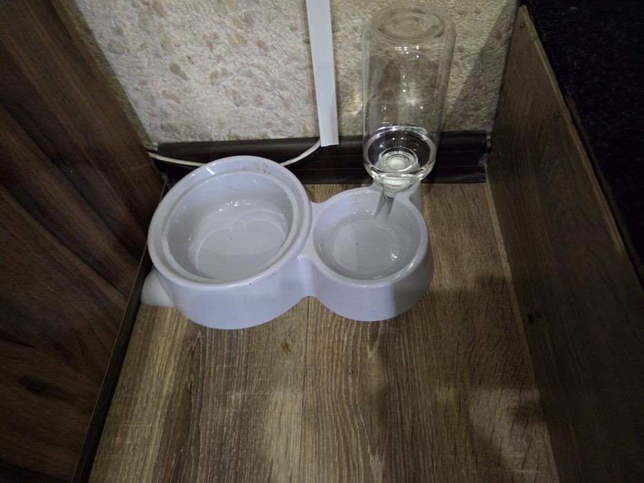 Продам котенка Скотиш Фолд