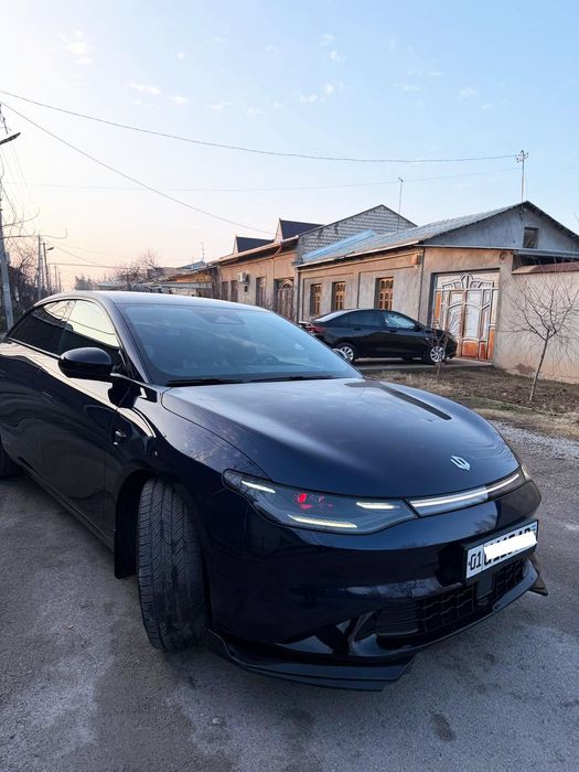 Leap motors, C01 525KM