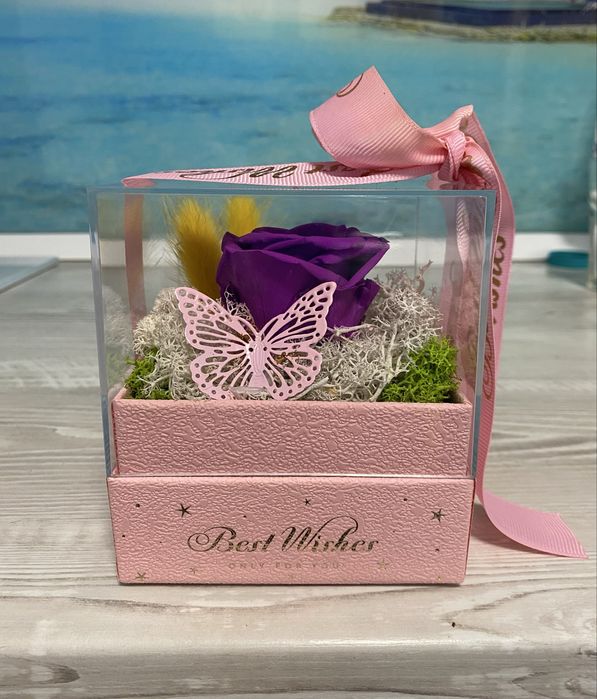 Cutie cadou „Best Wishes” cu trandafir de săpun si licheni 11,5×10 cm