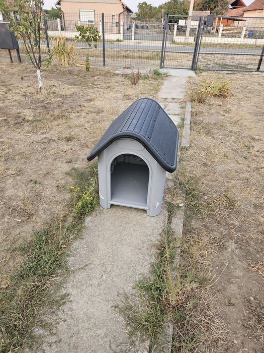 Vând cușcă câine
