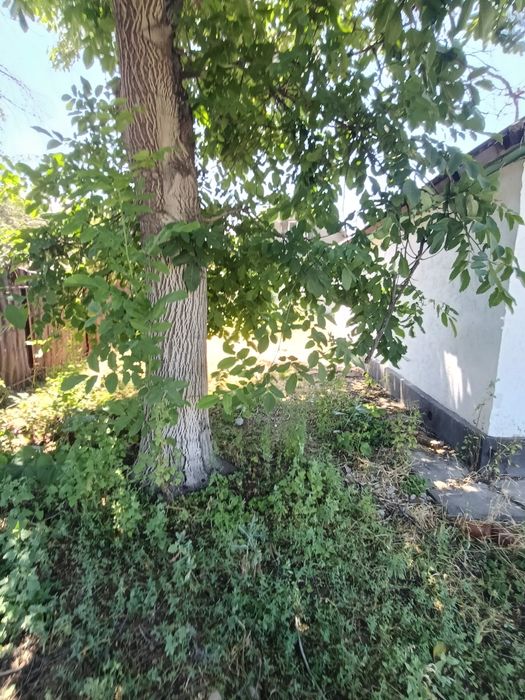 Продам дачу Талгар Кендала