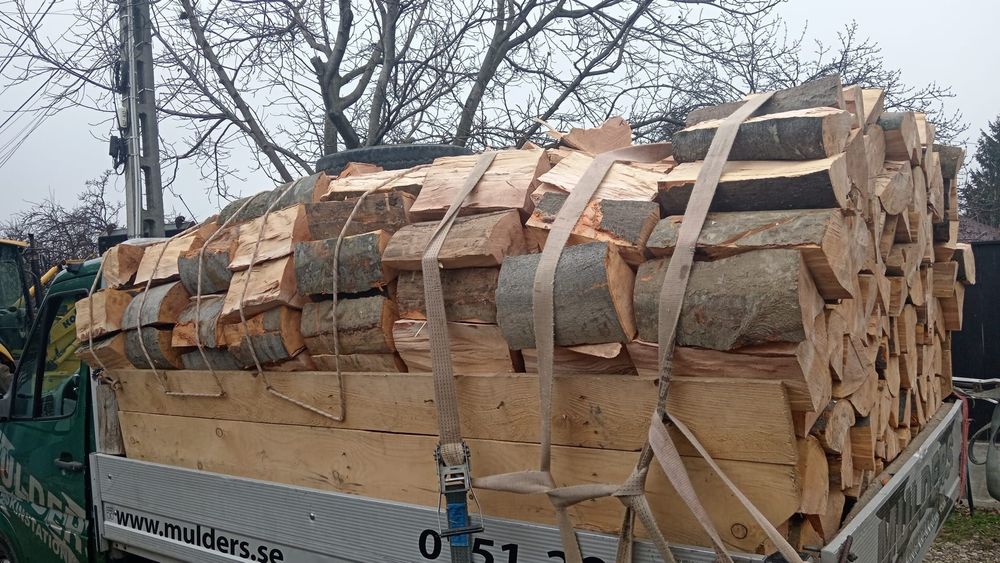 Ceuri de fag paletizate 350 paletu avem și crăpate din buștean avem și