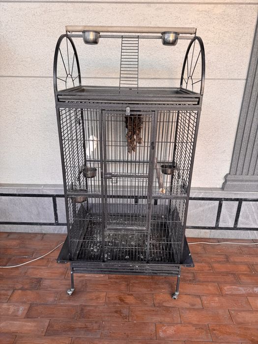 Капас сотилади котта кушлага Ара, Жако, га ўхшаган тотилар учун