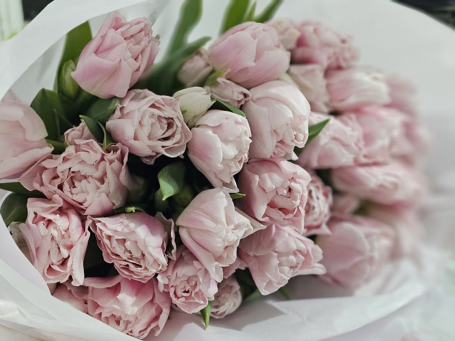 Тюльпаны опт/розница гарантия качества