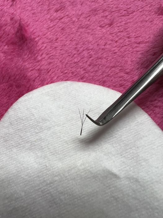 Готовые пучки 3д