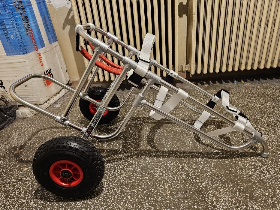 Carucior pentru caine