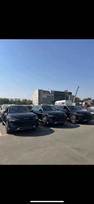 BYD Champion smart 2025 yil