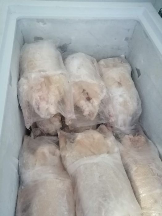 Продам гусей , гусь домашний