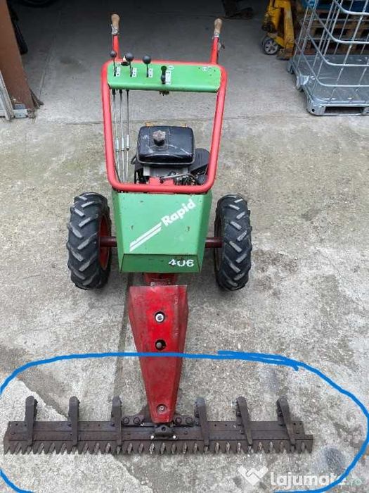 Masa taiere motocositoare