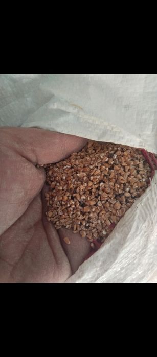 Зерно отходы отруби продам