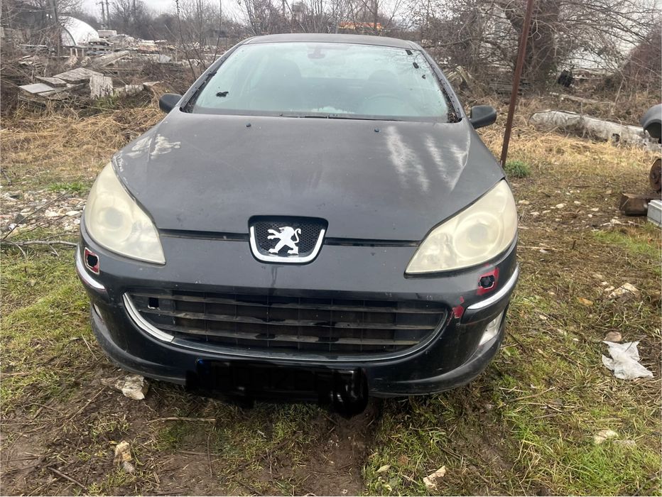Bara fata peugeot 407!