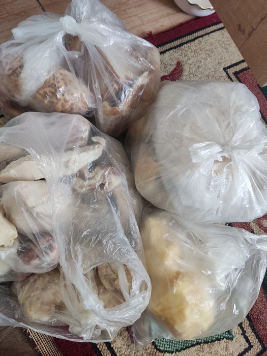 Остатки для собак, итке қалдықтар