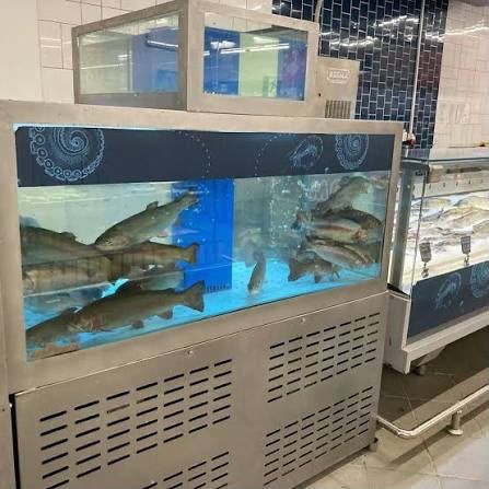 Изготовление торговых аквариумов для рыбы и морепродуктов