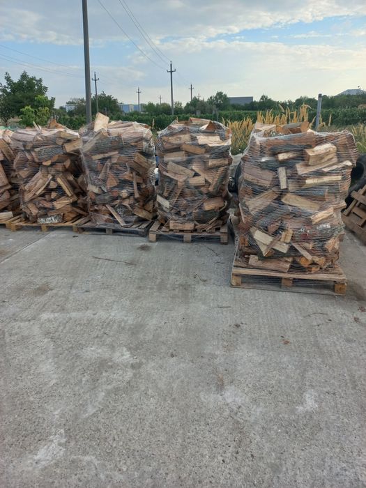 Lemne de foc fag uscat ofertă