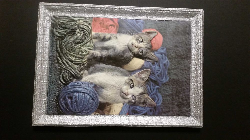 Прекрасни 2 пуделчета в сребърна рамка. Изглеждат супер!