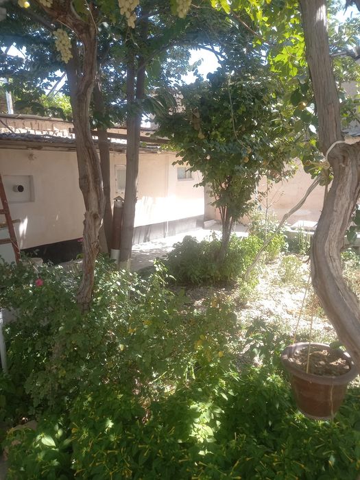 Слается комната, все удобства.