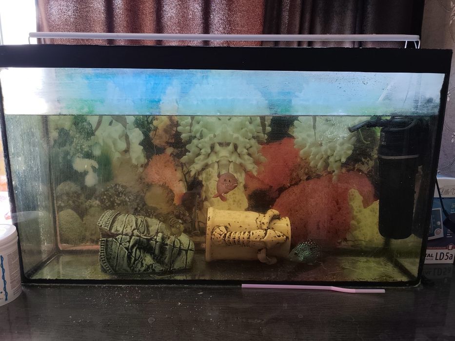 Продам аквариум с рыбками