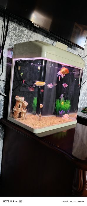 Аквариум 35 литр