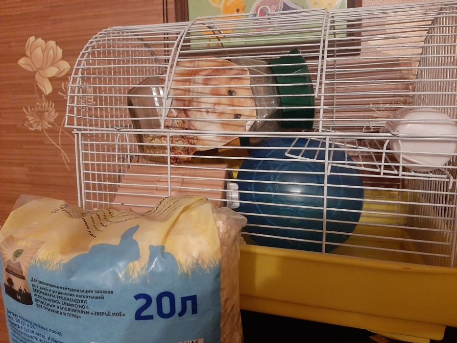 Клетка для хомяков в комплекте.