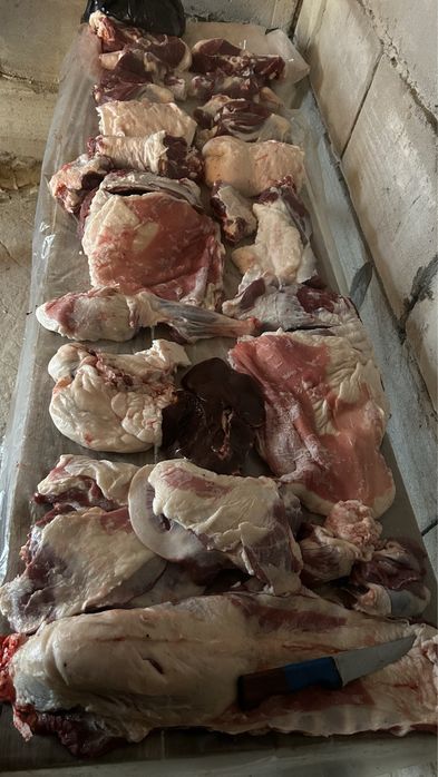 Продам мясо баранины