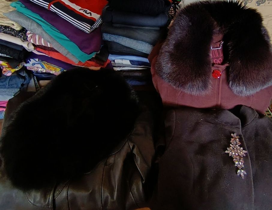 Hammasi bepul faqat kelib olib ketasilar