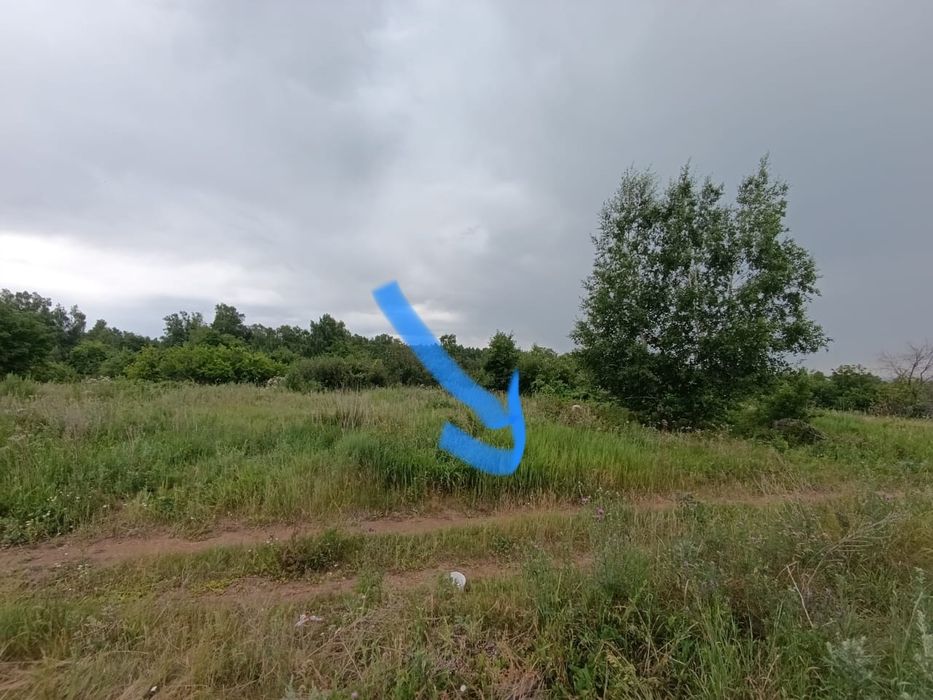 Участок земельный (дача)