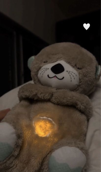 Дышащая Выдра Алматы