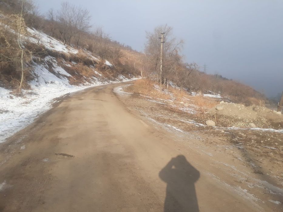 продам  сад срочно