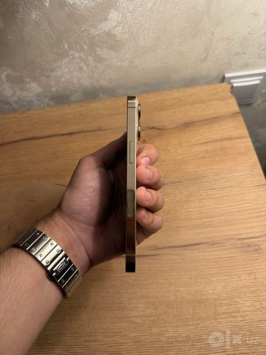 Iphone 13 Pro 266 LL/A