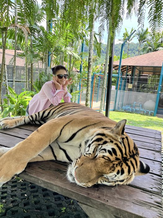 Masaj Medical la domiciliu dumneavoastra sau la hotel!