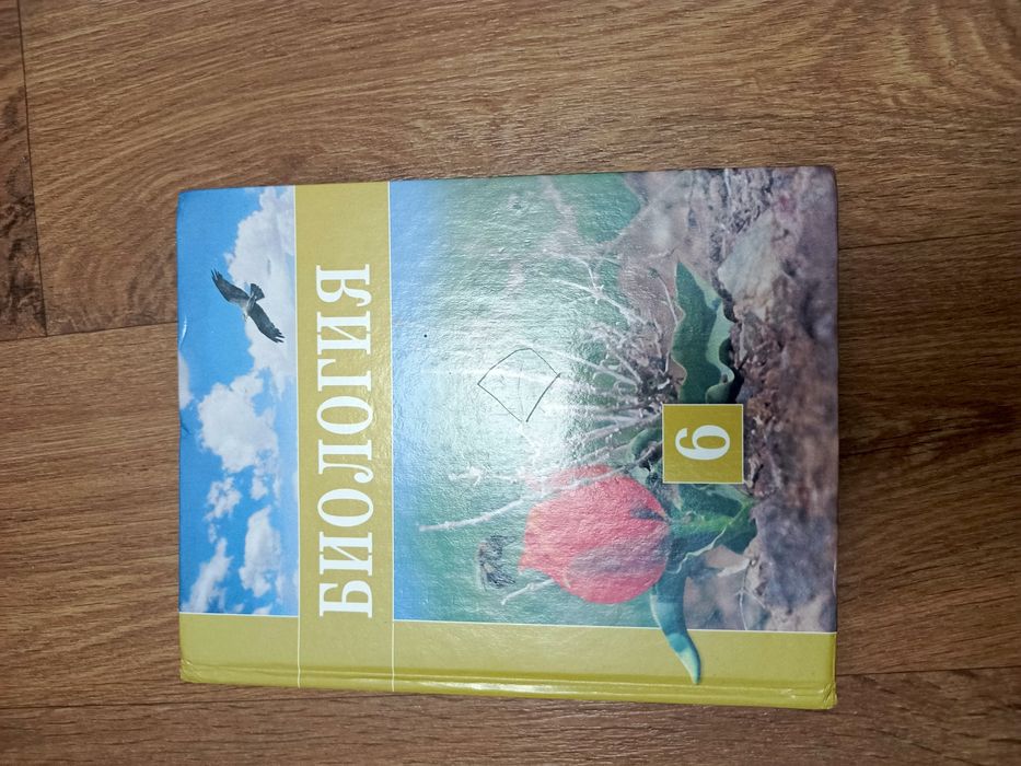 Учебники за 3000 тенге