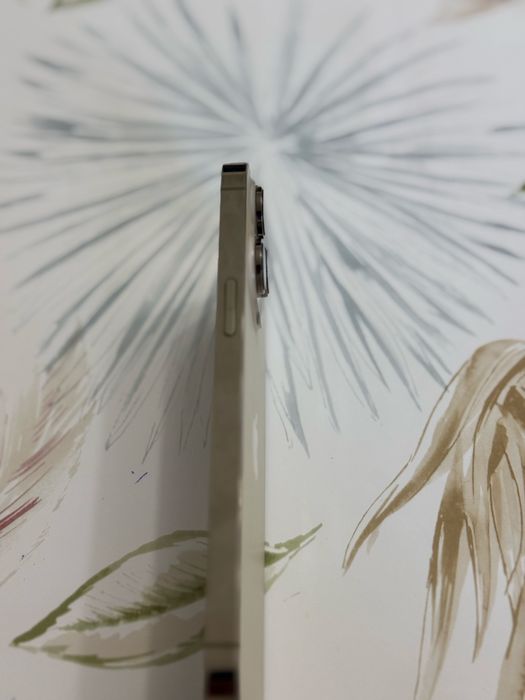 14 про макс сатылады