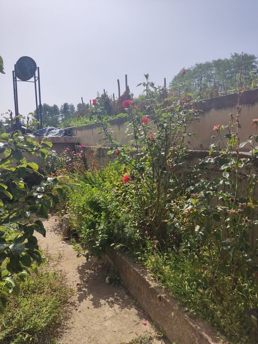 Продава се Къща в с. Логодаж, Област Благоевград - 280 кв.м за 715 €/кв.м - Снимка #18