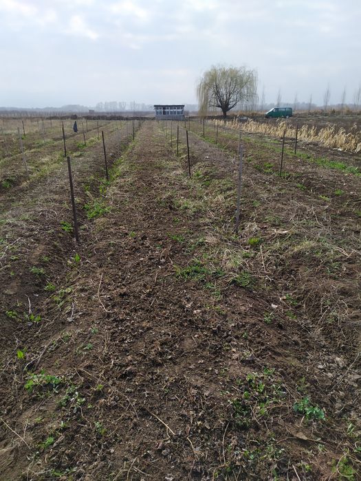 Продам Землю кха