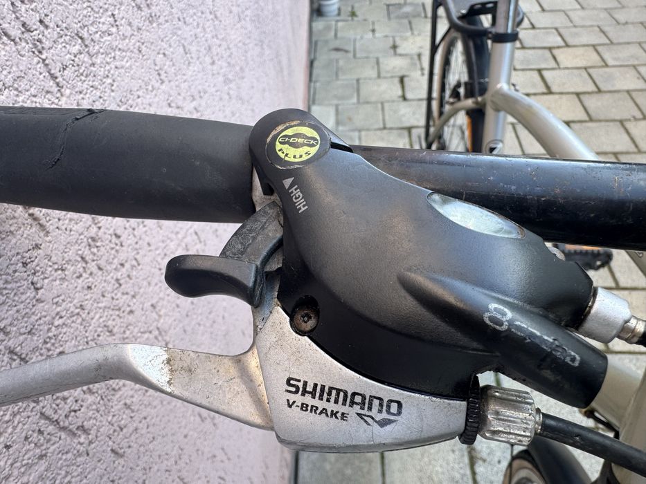 Bicicleta barbateasca