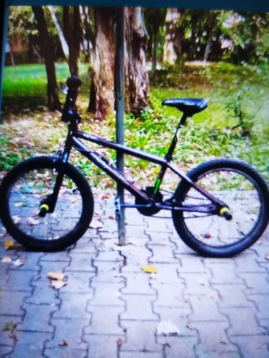 BMX  Dragon-fly performance