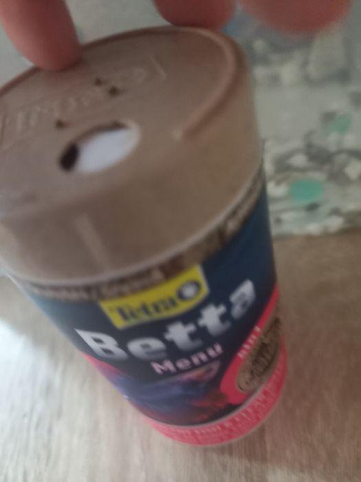 Pești betta masculi foarte frumoși