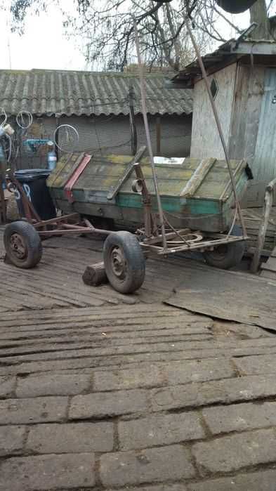 Cînd caruta ,ptr un cal