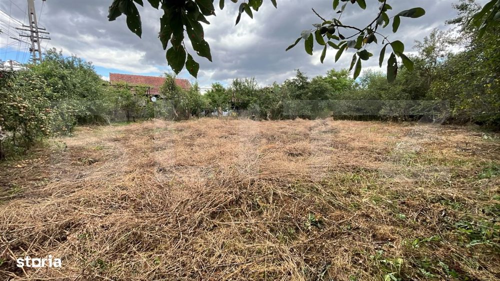 Casa cu teren intravilan de 1256 mp in Dumbrava, judetul Alba