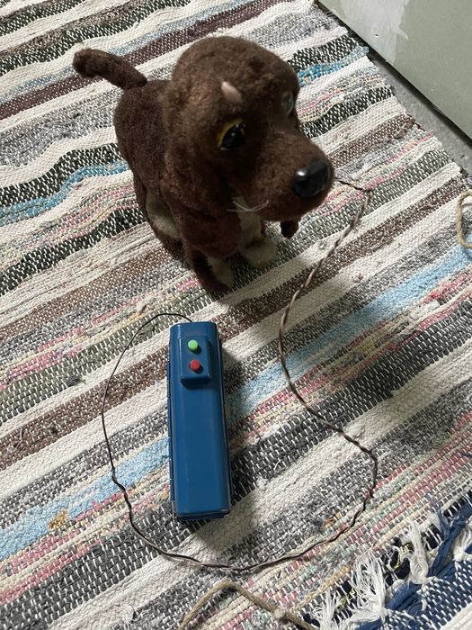 Cățel chinezesc de jucărie pe telecomanda