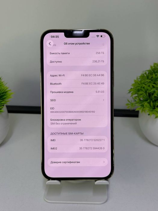 iPhone 13 Pro Max / 256 gb / Acb 100% /  ,,