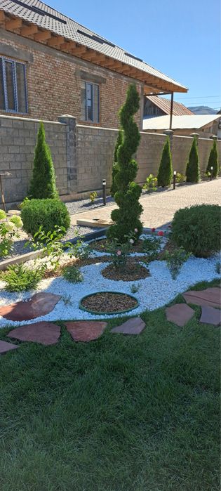 Озеленение под ключ