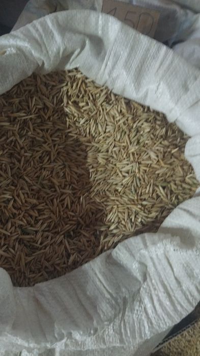 Комбикорм, услуга дробилки