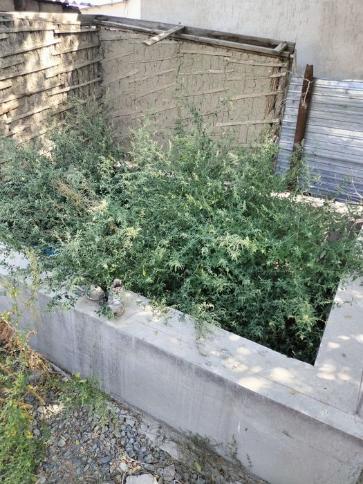 Земельные участки под ИЖС