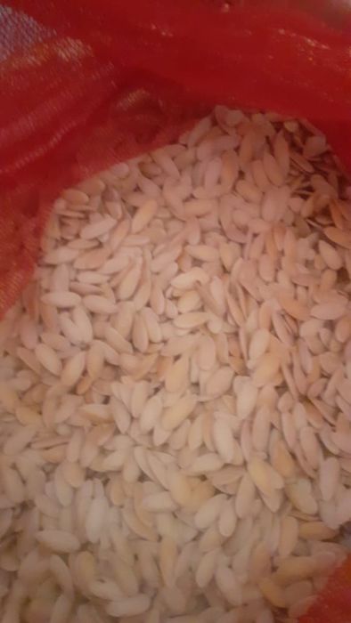 Семена Дыни сорт бакинка