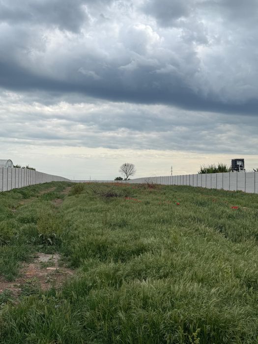 De vanzare casa+teren intravilan 4600mp