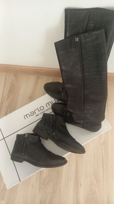 Сапоги женские зимние и осенние