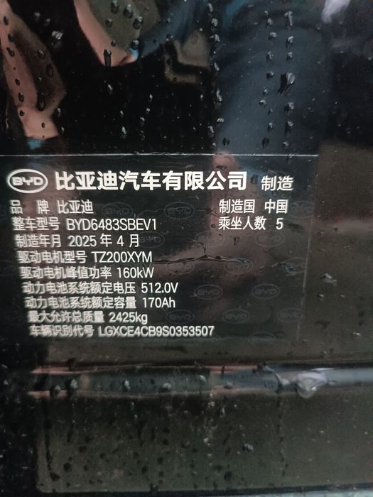 BYD Champion smart 2025